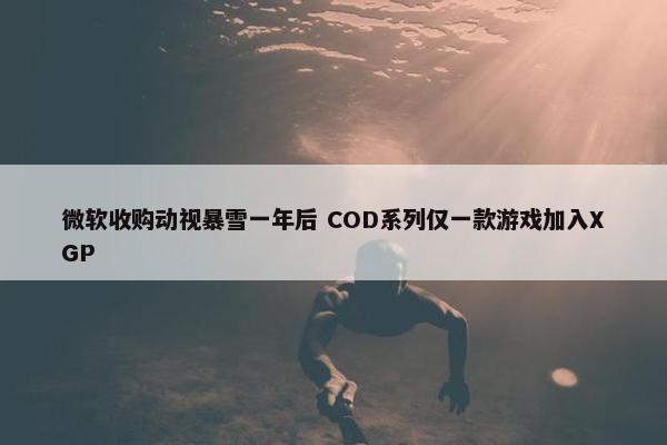 微软收购动视暴雪一年后 COD系列仅一款游戏加入XGP