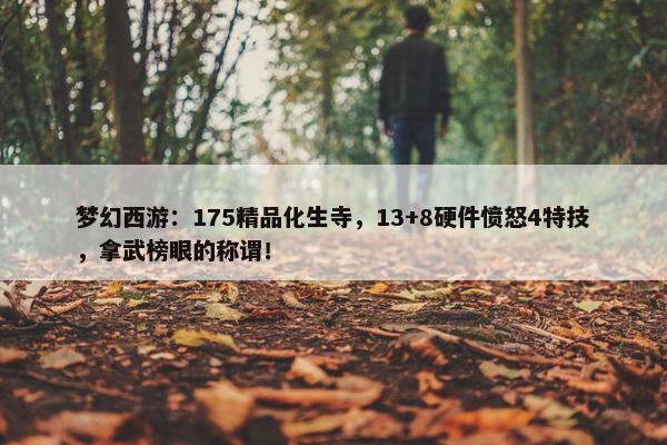 梦幻西游：175精品化生寺，13+8硬件愤怒4特技，拿武榜眼的称谓！