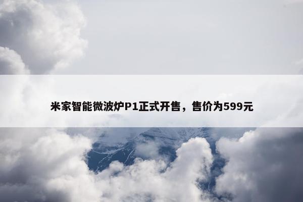 米家智能微波炉P1正式开售，售价为599元