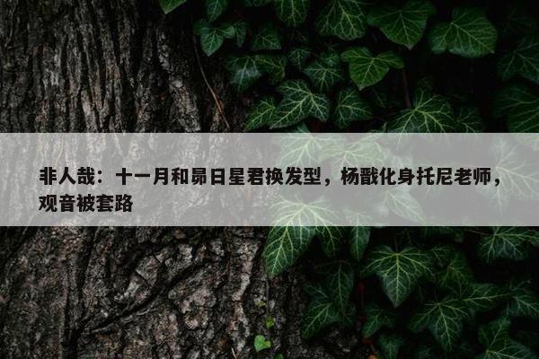 非人哉：十一月和昴日星君换发型，杨戬化身托尼老师，观音被套路