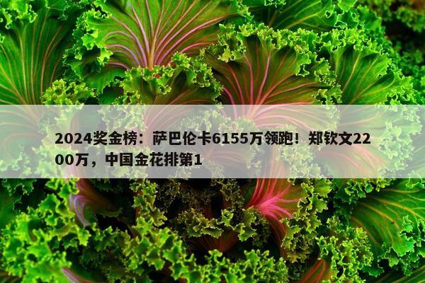 2024奖金榜：萨巴伦卡6155万领跑！郑钦文2200万，中国金花排第1