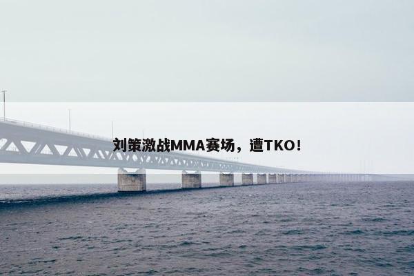 刘策激战MMA赛场，遭TKO！