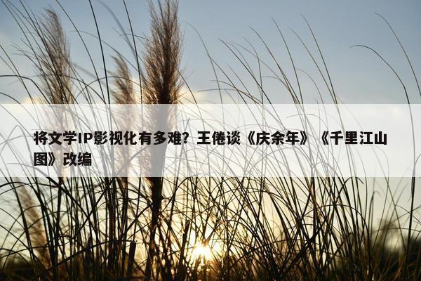 将文学IP影视化有多难？王倦谈《庆余年》《千里江山图》改编