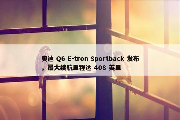 奥迪 Q6 E-tron Sportback 发布，最大续航里程达 408 英里