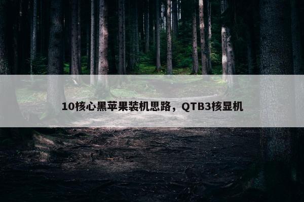 10核心黑苹果装机思路，QTB3核显机