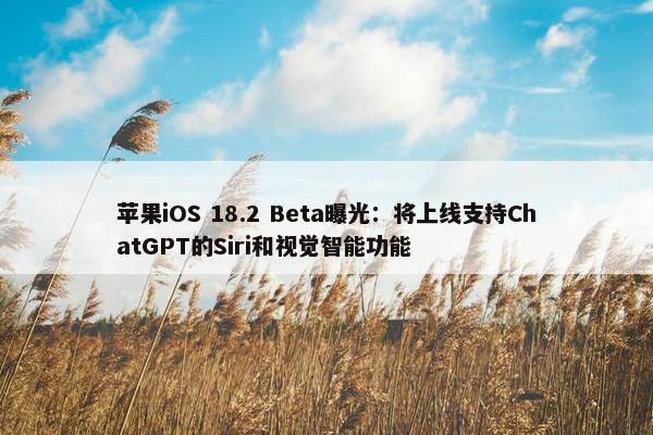 苹果iOS 18.2 Beta曝光：将上线支持ChatGPT的Siri和视觉智能功能