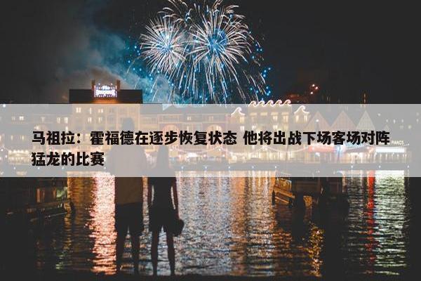 马祖拉：霍福德在逐步恢复状态 他将出战下场客场对阵猛龙的比赛