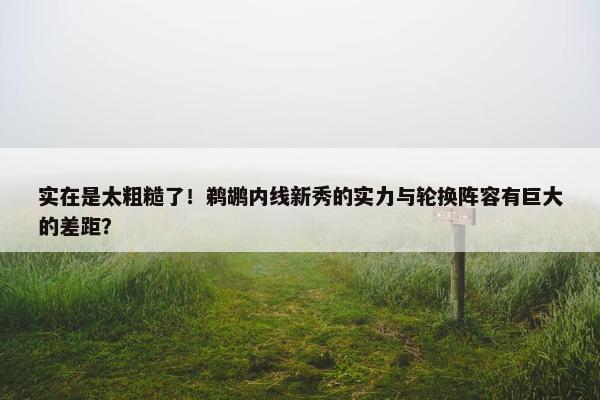 实在是太粗糙了！鹈鹕内线新秀的实力与轮换阵容有巨大的差距？