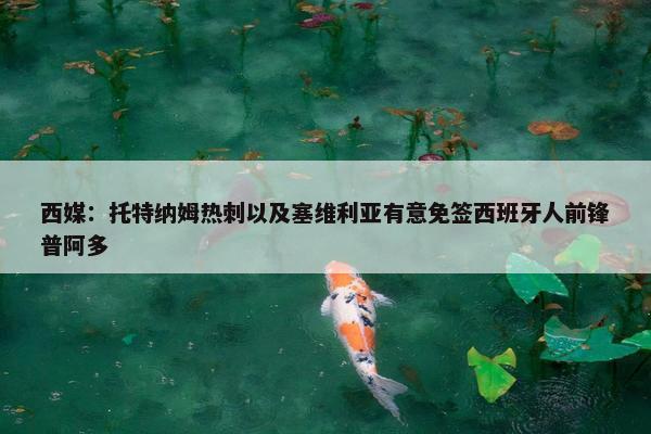 西媒：托特纳姆热刺以及塞维利亚有意免签西班牙人前锋普阿多