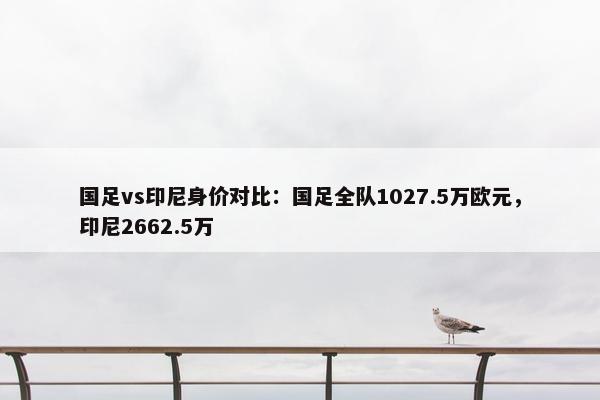 国足vs印尼身价对比：国足全队1027.5万欧元，印尼2662.5万