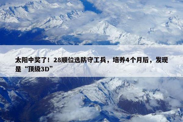 太阳中奖了！28顺位选防守工兵，培养4个月后，发现是“顶级3D”