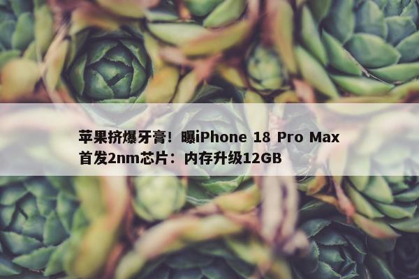 苹果挤爆牙膏！曝iPhone 18 Pro Max首发2nm芯片：内存升级12GB