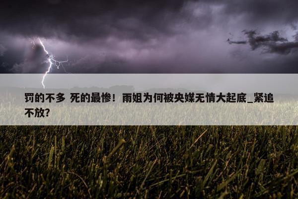 罚的不多 死的最惨！雨姐为何被央媒无情大起底_紧追不放？