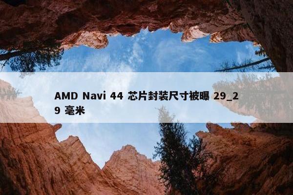 AMD Navi 44 芯片封装尺寸被曝 29_29 毫米