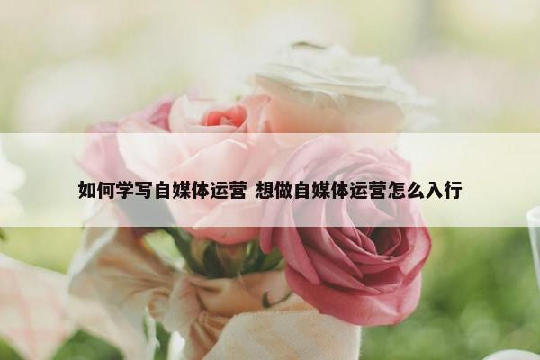 如何学写自媒体运营 想做自媒体运营怎么入行