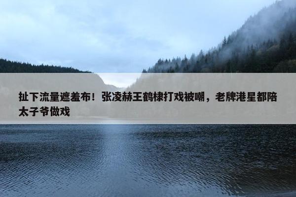 扯下流量遮羞布！张凌赫王鹤棣打戏被嘲，老牌港星都陪太子爷做戏