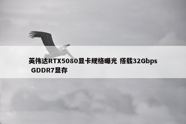 英伟达RTX5080显卡规格曝光 搭载32Gbps GDDR7显存