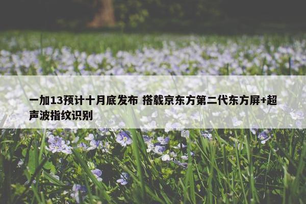 一加13预计十月底发布 搭载京东方第二代东方屏+超声波指纹识别