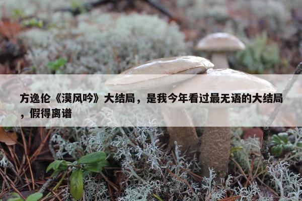 方逸伦《漠风吟》大结局，是我今年看过最无语的大结局，假得离谱