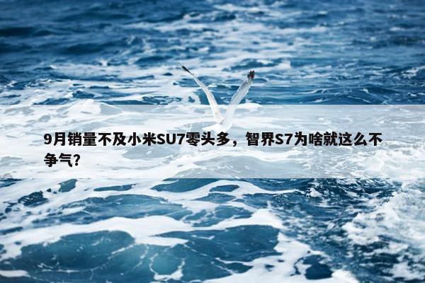 9月销量不及小米SU7零头多，智界S7为啥就这么不争气？