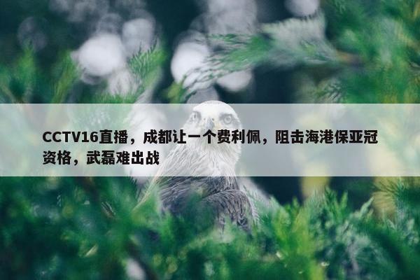 CCTV16直播，成都让一个费利佩，阻击海港保亚冠资格，武磊难出战