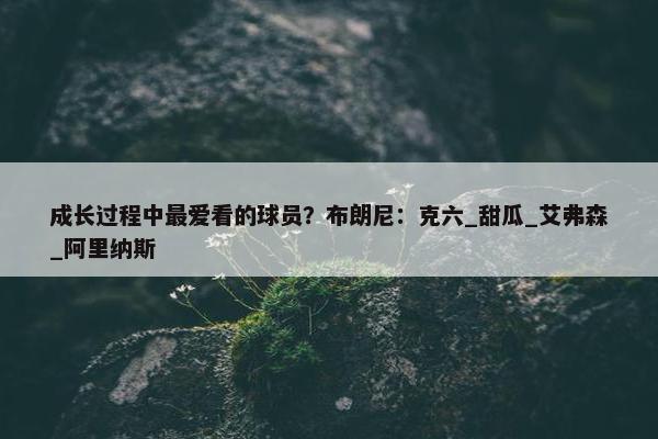 成长过程中最爱看的球员？布朗尼：克六_甜瓜_艾弗森_阿里纳斯