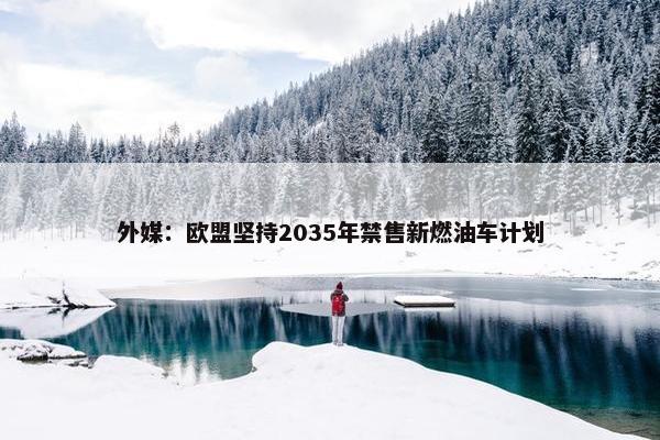 外媒：欧盟坚持2035年禁售新燃油车计划