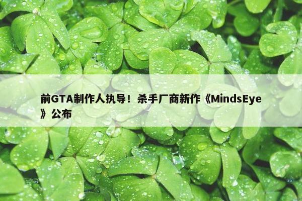 前GTA制作人执导！杀手厂商新作《MindsEye》公布