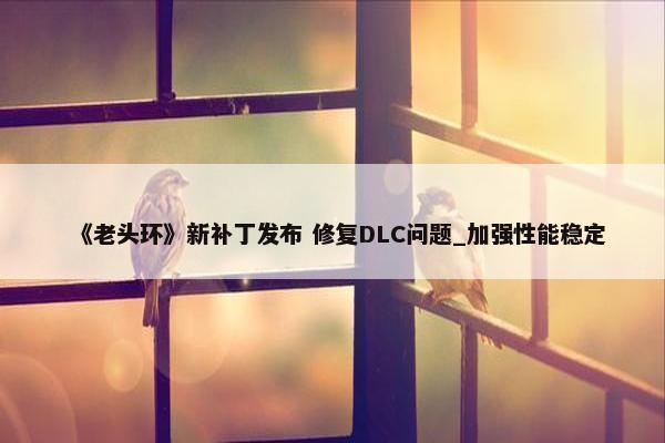 《老头环》新补丁发布 修复DLC问题_加强性能稳定