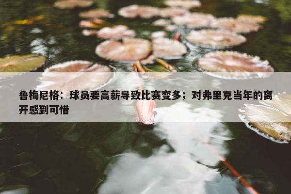 鲁梅尼格：球员要高薪导致比赛变多；对弗里克当年的离开感到可惜