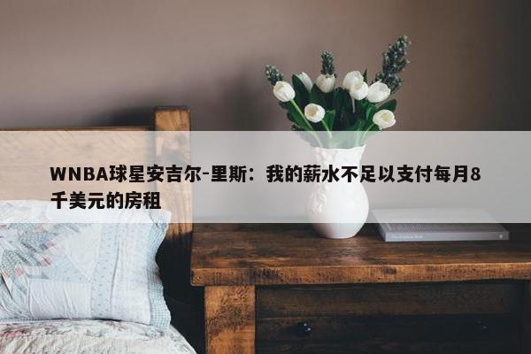 WNBA球星安吉尔-里斯：我的薪水不足以支付每月8千美元的房租