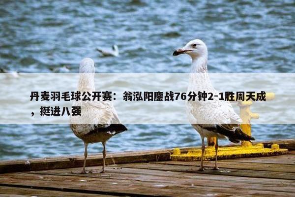 丹麦羽毛球公开赛：翁泓阳鏖战76分钟2-1胜周天成，挺进八强