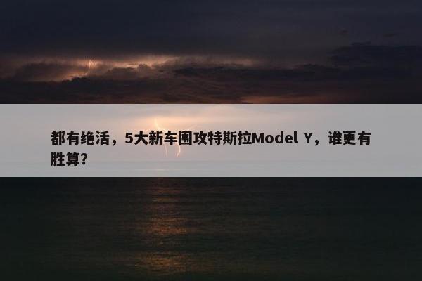 都有绝活，5大新车围攻特斯拉Model Y，谁更有胜算？