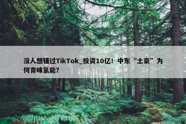 没人想错过TikTok_投资10亿！中东“土豪”为何青睐氢能？