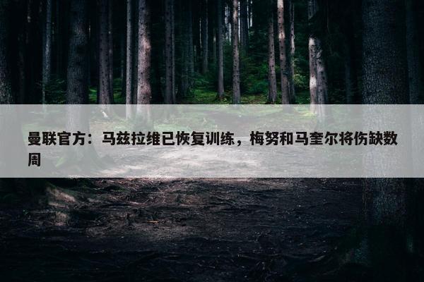 曼联官方：马兹拉维已恢复训练，梅努和马奎尔将伤缺数周