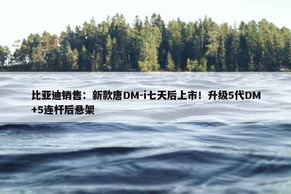 比亚迪销售：新款唐DM-i七天后上市！升级5代DM+5连杆后悬架