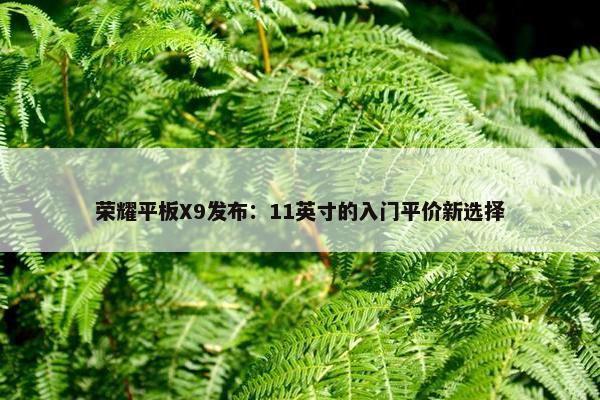 荣耀平板X9发布：11英寸的入门平价新选择