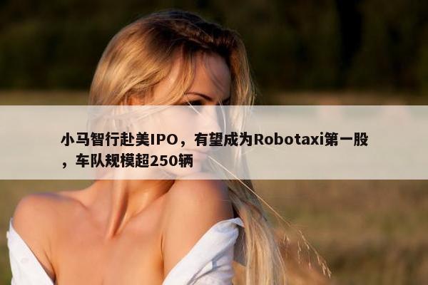 小马智行赴美IPO，有望成为Robotaxi第一股，车队规模超250辆