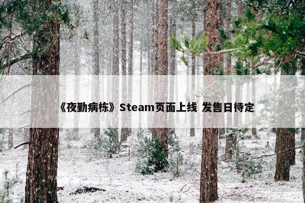 《夜勤病栋》Steam页面上线 发售日待定