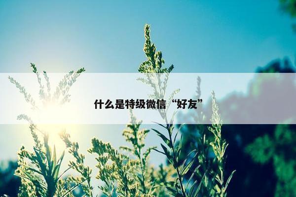 什么是特级微信“好友”