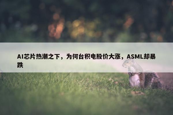 AI芯片热潮之下，为何台积电股价大涨，ASML却暴跌