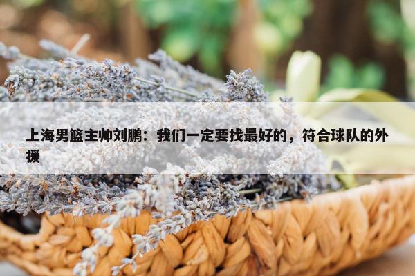 上海男篮主帅刘鹏：我们一定要找最好的，符合球队的外援