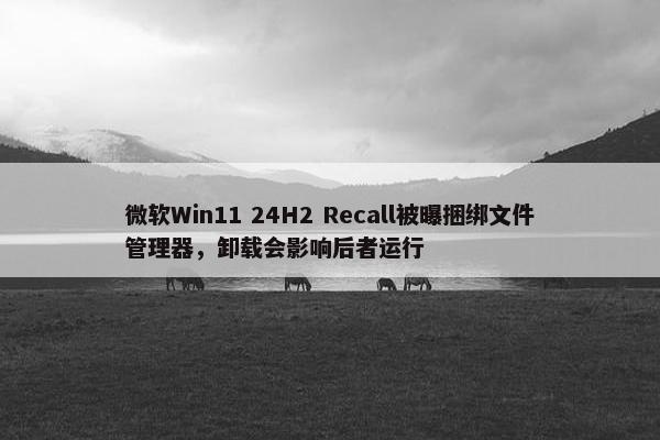 微软Win11 24H2 Recall被曝捆绑文件管理器，卸载会影响后者运行