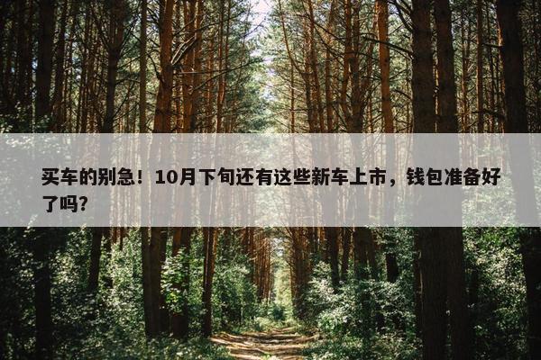 买车的别急！10月下旬还有这些新车上市，钱包准备好了吗？