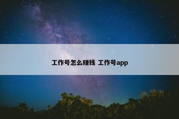 工作号怎么赚钱 工作号app