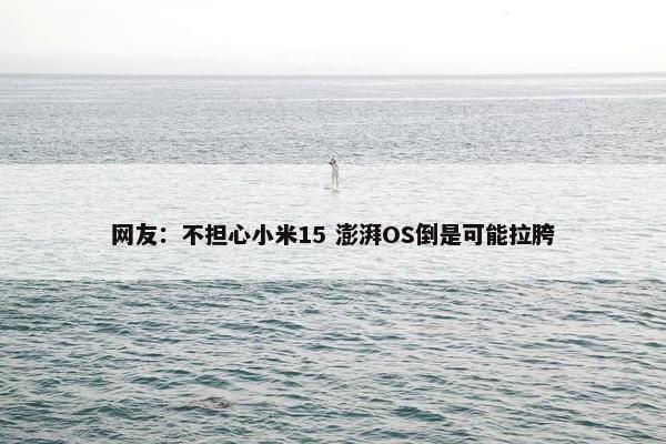 网友：不担心小米15 澎湃OS倒是可能拉胯