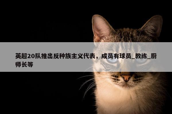 英超20队推出反种族主义代表，成员有球员_教练_厨师长等