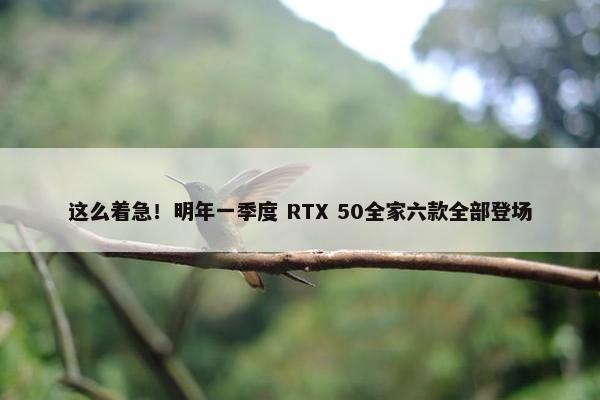 这么着急！明年一季度 RTX 50全家六款全部登场