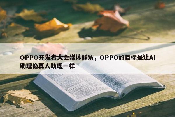 OPPO开发者大会媒体群访，OPPO的目标是让AI助理像真人助理一样