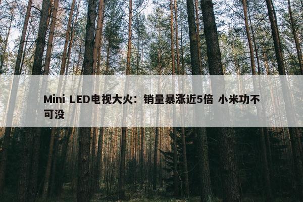 Mini LED电视大火：销量暴涨近5倍 小米功不可没